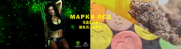 мдпв Россошь