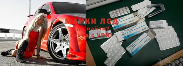 мдпв Россошь