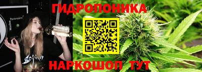 jwh Берёзовский