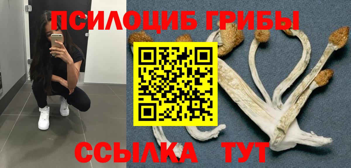 Псилоцибиновые грибы прущие грибы Реутов