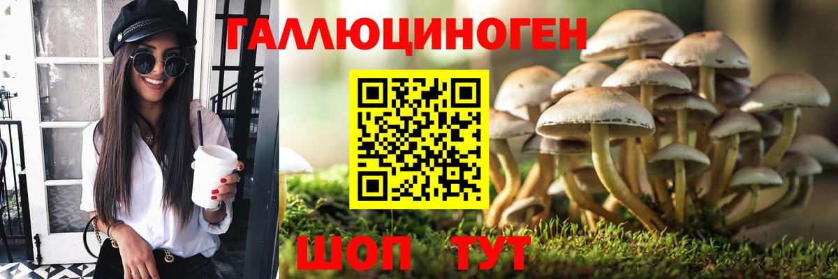 Псилоцибиновые грибы Psilocybine cubensis  Реутов  Псилоцибиновые грибы Magic Shrooms 